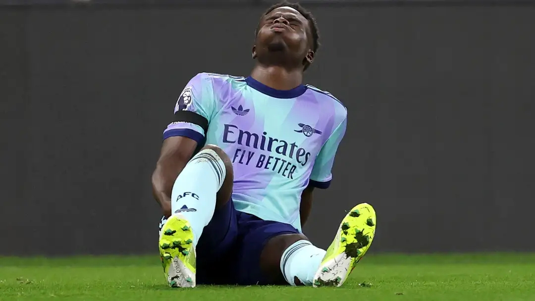 吸取了重要 吸取了重要