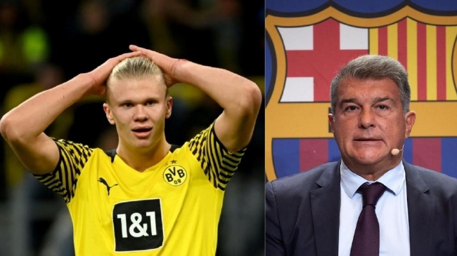 上线四周后 上线四周后